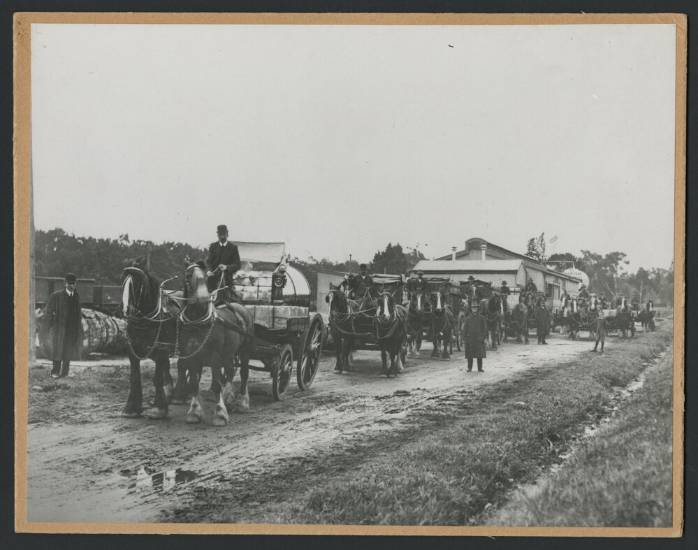 Drivers from the Fitzroy Depot, with their horse drawn wagons [2 of many]