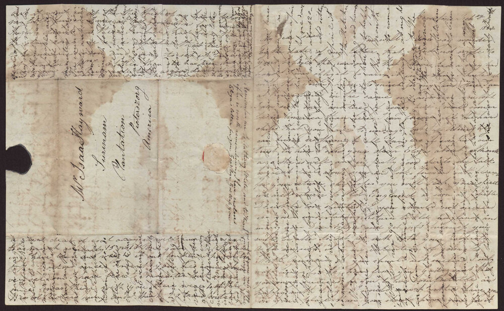 Letter J F Hayward to Isaac Hayward, Surinam