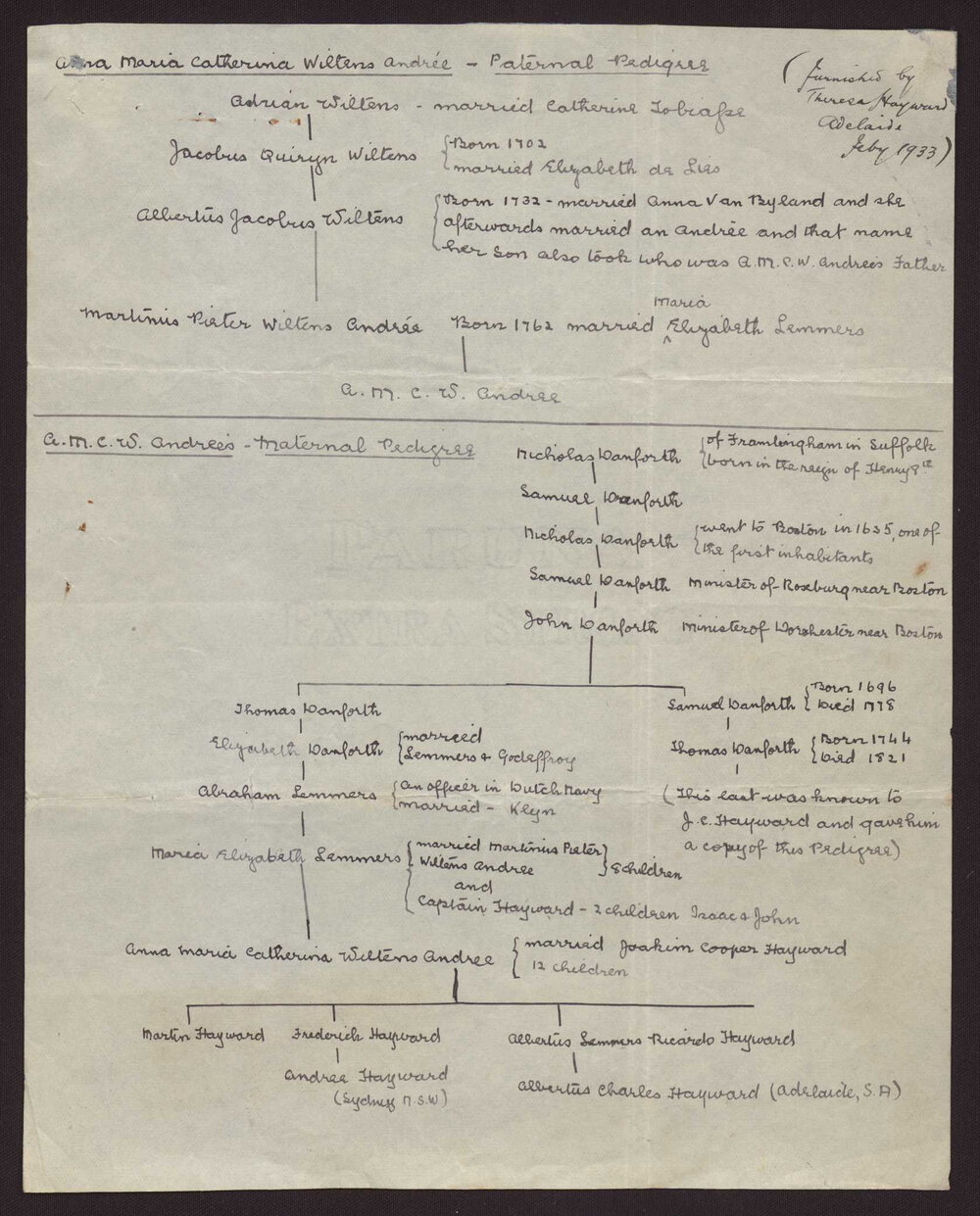 "Trees" showing pedigrees of A M C Hayward on both her fathers (Wiltens Andree) and mothers (Lemmers) side
