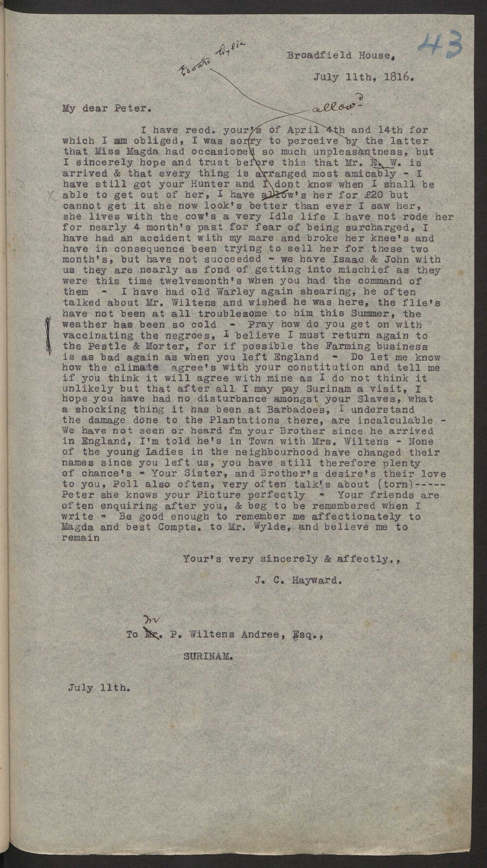 Transcript of letter J C Hayward to M P Wiltens Andree, Surinam