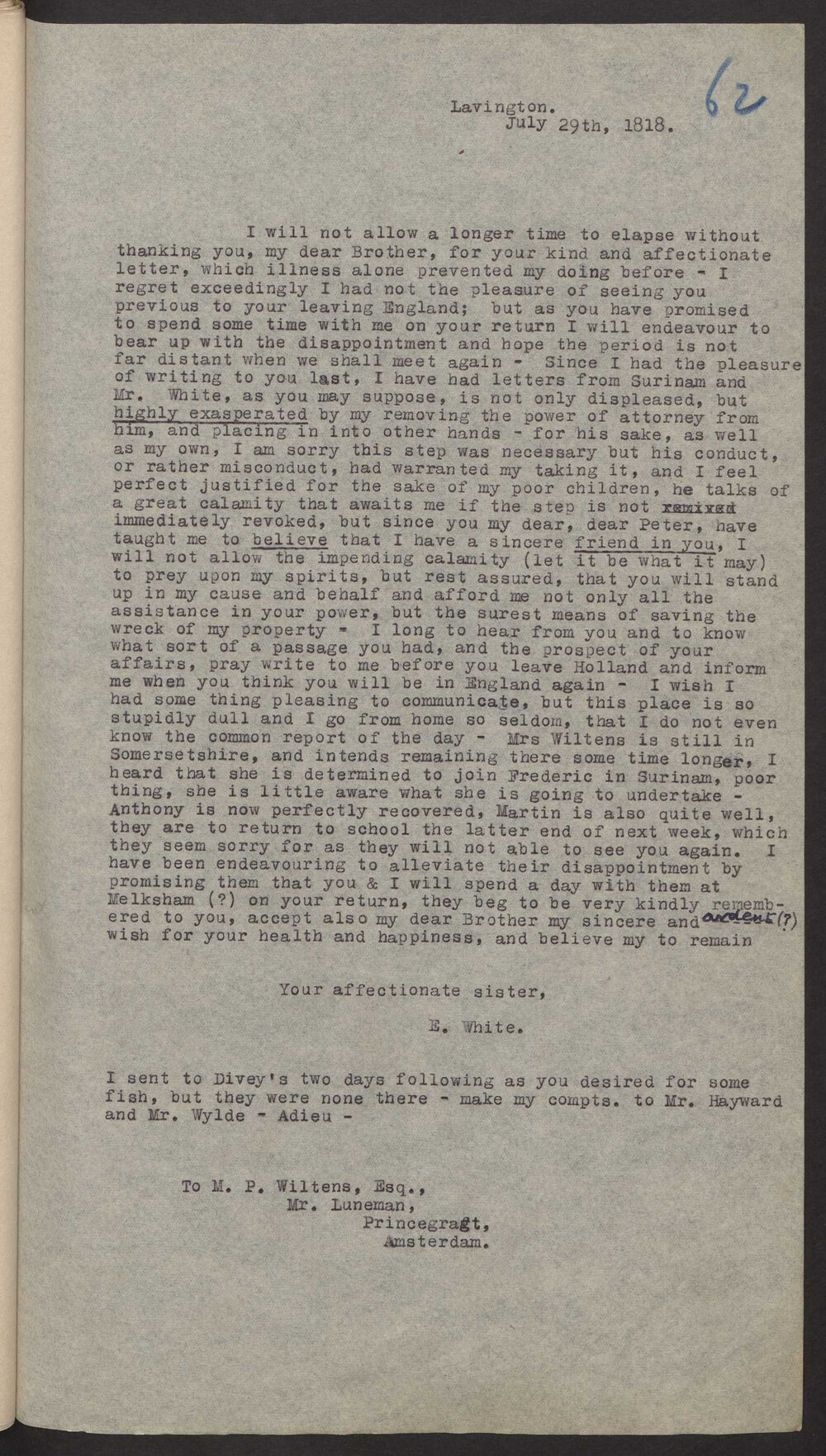Transcript of letter E White, England to M P  Wiltens, Amsterdam