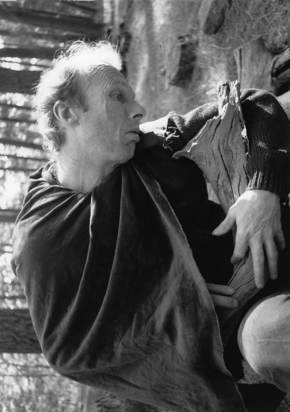 A Hunch and La Belle of Notre Dame