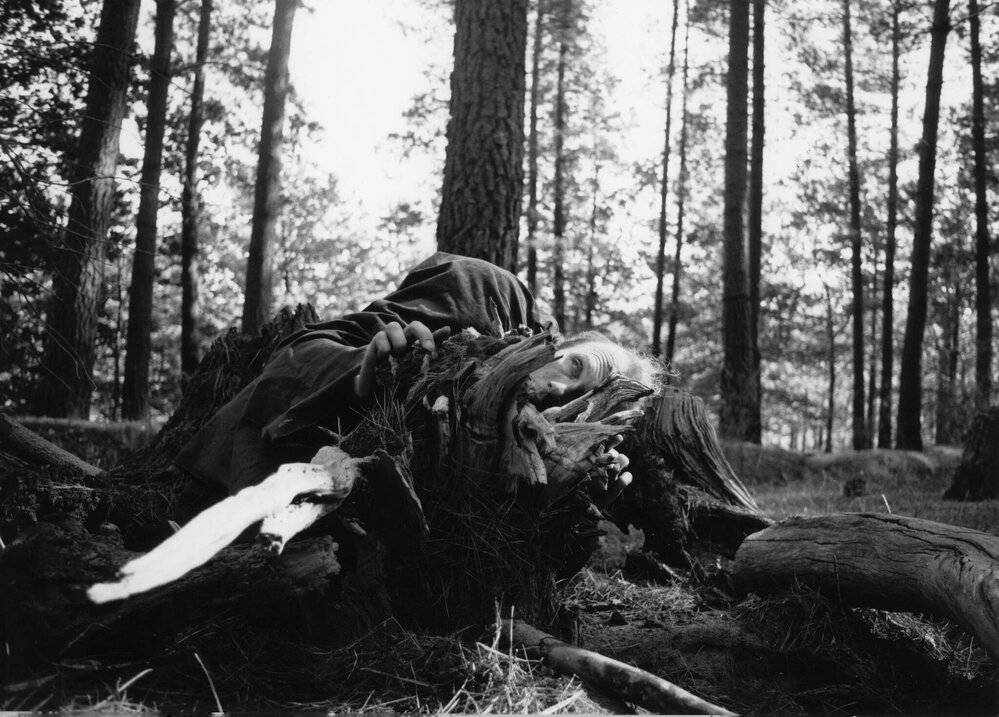 A Hunch and La Belle of Notre Dame