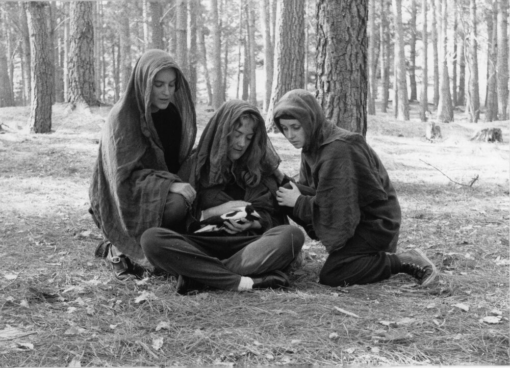 A Hunch and La Belle of Notre Dame