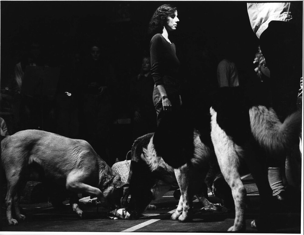 The Mongrel Dog Show: Revival