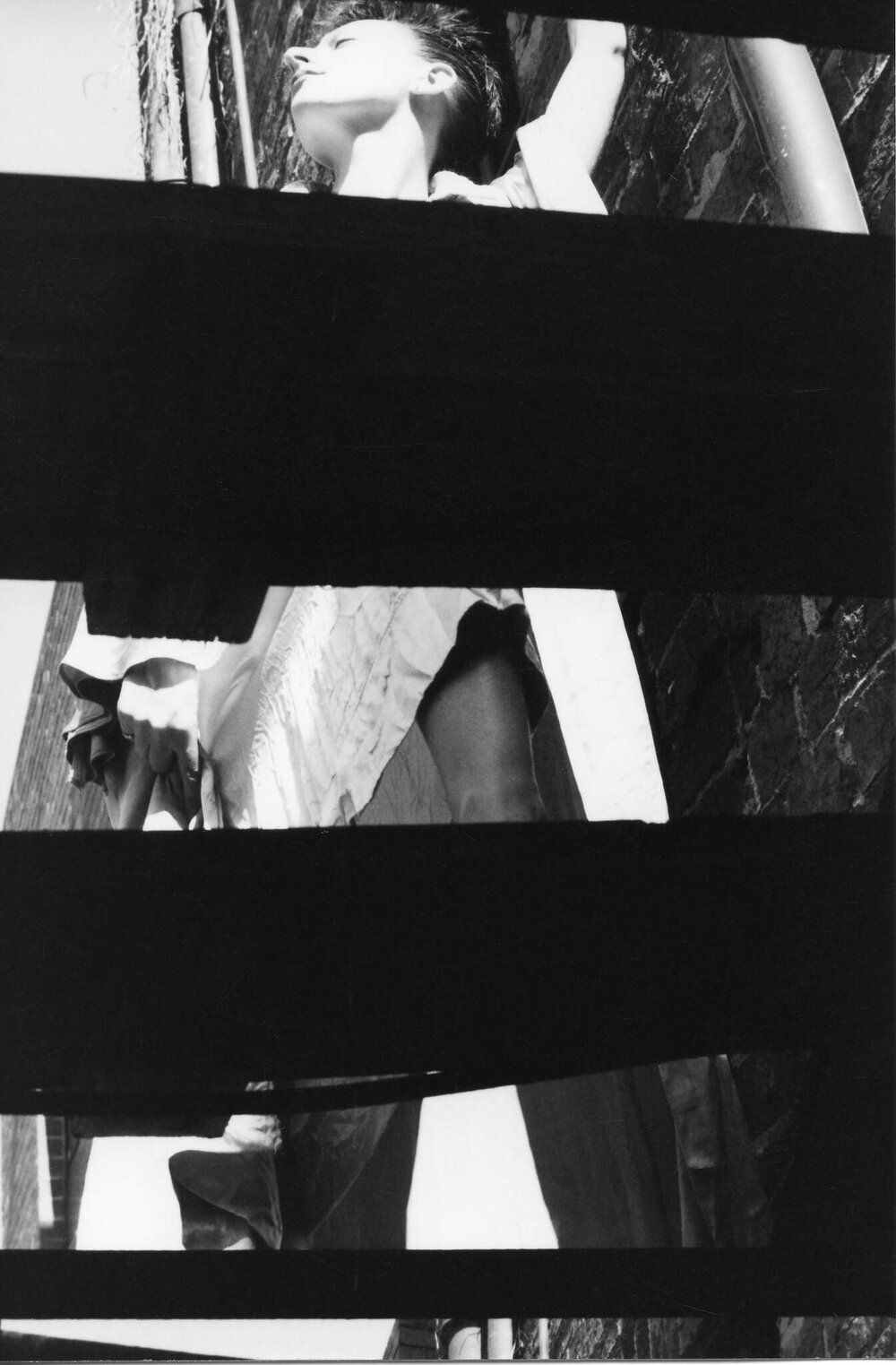 View from a Basement