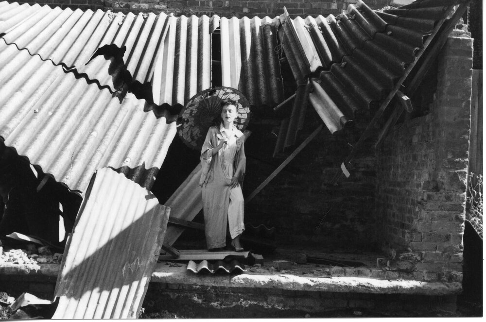 View from a Basement