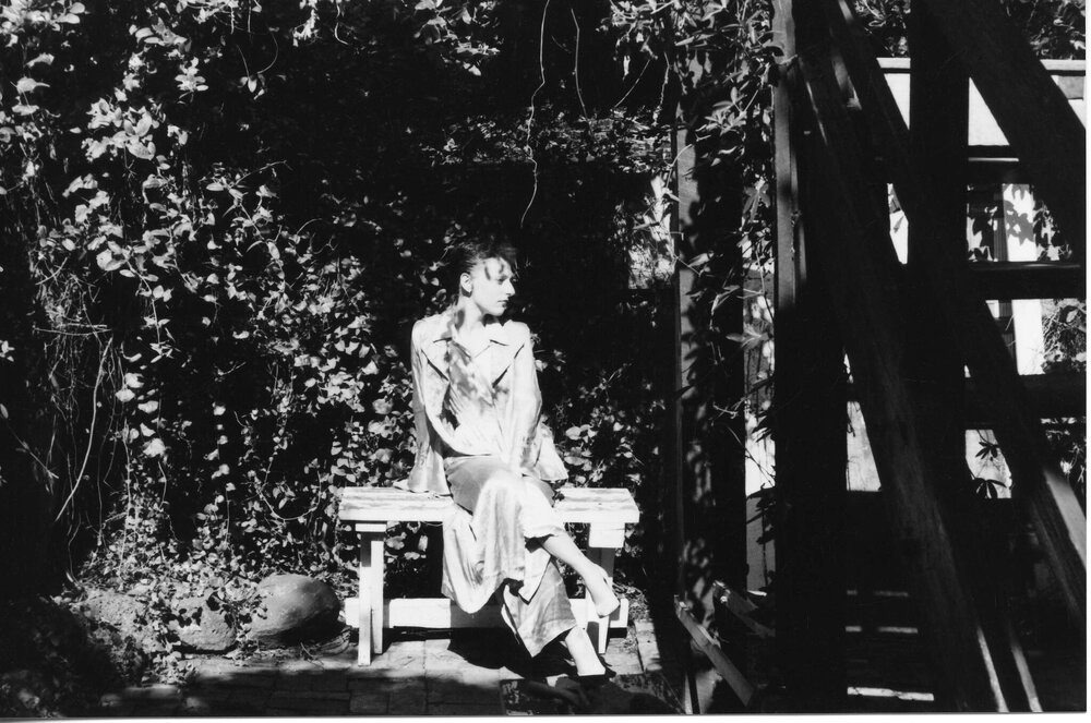 View from a Basement