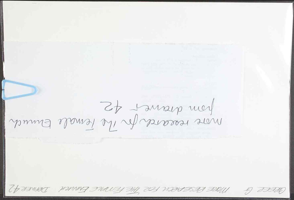 Greer G  More research for 'The Female Eunuch' Drawer 42