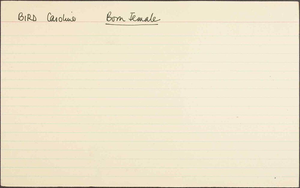 Bird Caroline