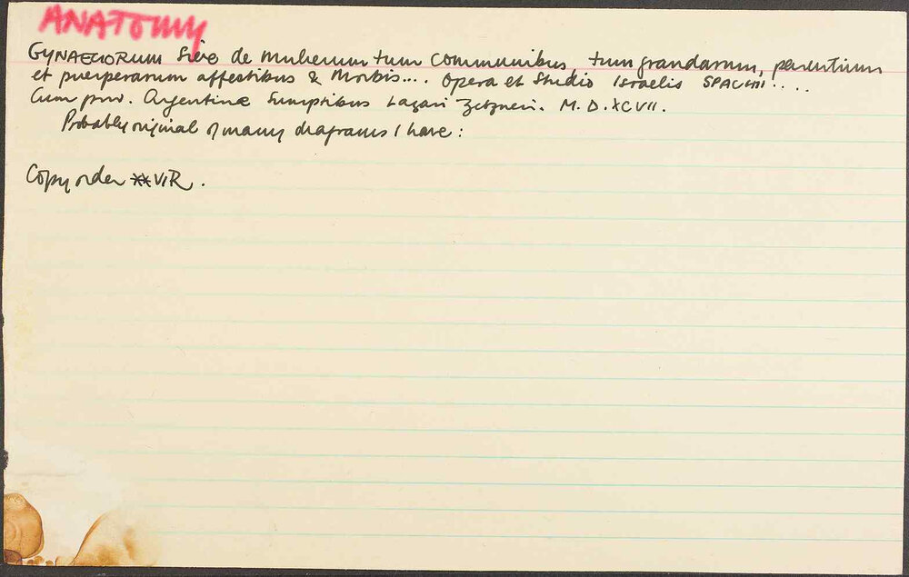 Anatomy. Gynaeciorum