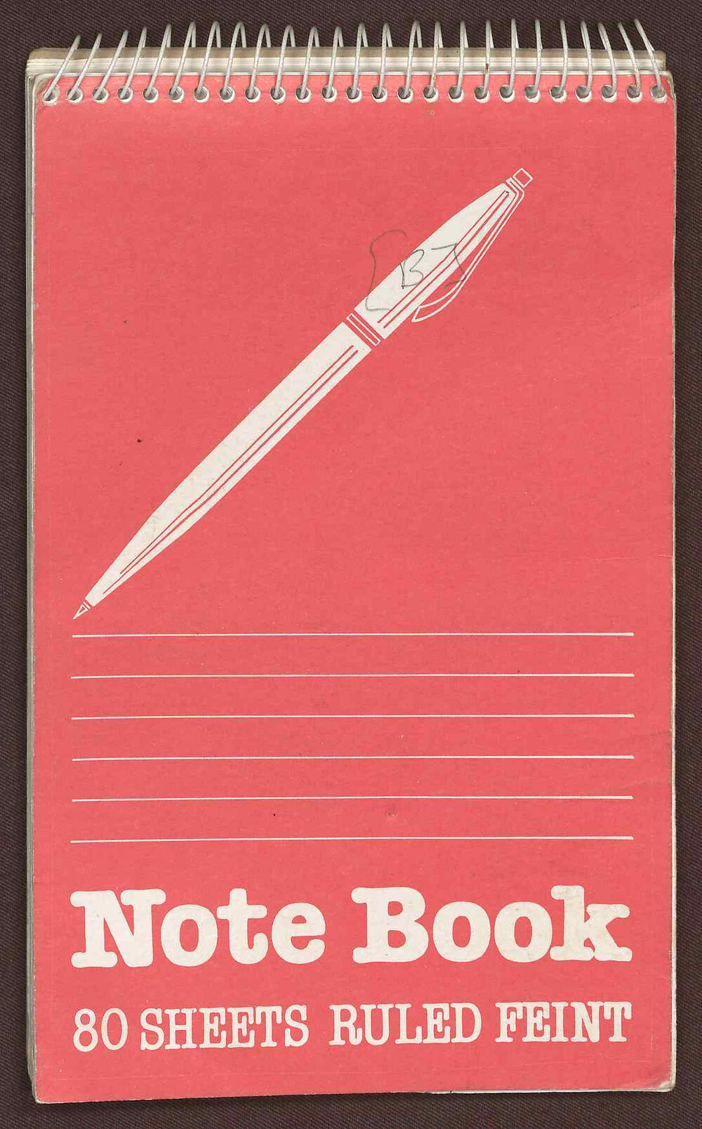 Ethiopia reporter's notebook B