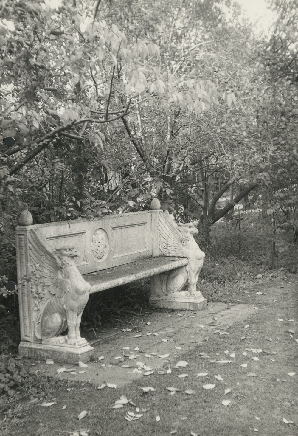 [Stone bench in the garden of Miegunyah]