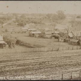 Birds-Eye-View, Wahgunyah