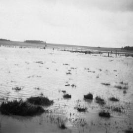 Edgarley Bridge, Hopkins River 18/9/12
