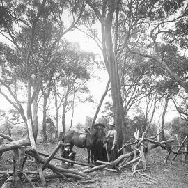 Holm Park, Beaconsfield, Victoria.