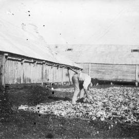 Fulham, Balmoral, Victoria.