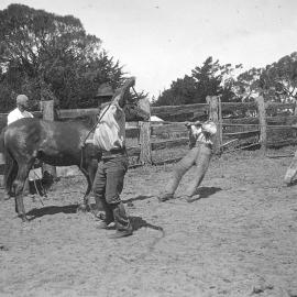 Fulham, Balmoral, Victoria.