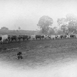 Conveyances of the past.