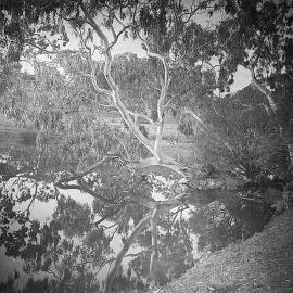 Fulham, Balmoral, Victoria