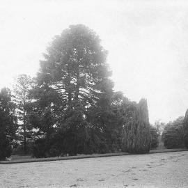 "Como" Toorak Rd, South Yarra.