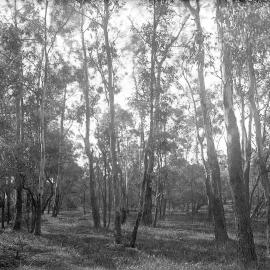 "Como" Toorak Rd, South Yarra.