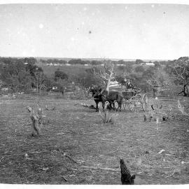 Man driving buggy, rural setting