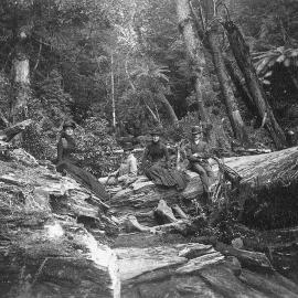 Group photo, two men and two women in bush setting