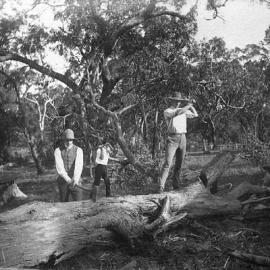 Tableaux of three men with axes and a fallen tree