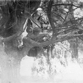 Two girls in a tree