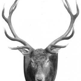 "Como" Toorak Rd, South Yarra.