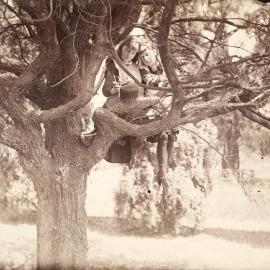 Two girls sitting in tree, with slingshot