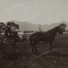 Photo of a man seated in a horse- drawn buggy