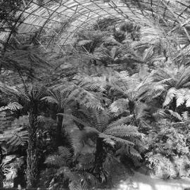 The Fernery, Rippon Lea