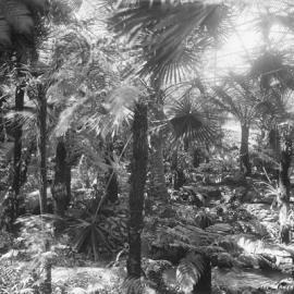 The Fernery, Rippon Lea