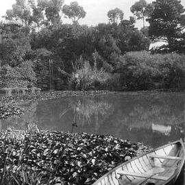 The Waterfall, Rippon Lea