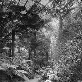 The Fernery, Rippon Lea