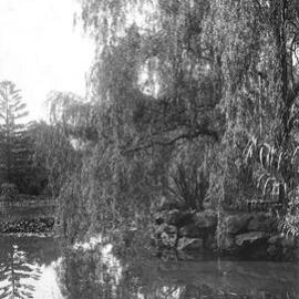 The Lake, From the Cave, Rippon Lea