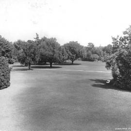 Lawn From Bed Room Window, Rippon Lea