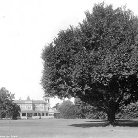 Looking Up Lawn, Rippon Lea