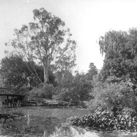 The Lake - An Old Friend, Rippon Lea