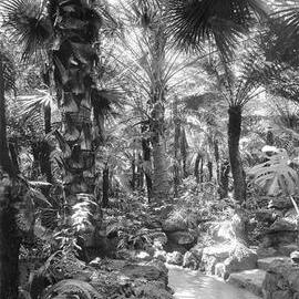 The Fernery, Rippon Lea