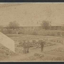 Gol Gol Homestead vegetable garden