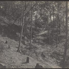 [Photograph in Mexico]