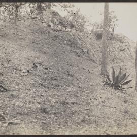 [Photograph in Mexico]