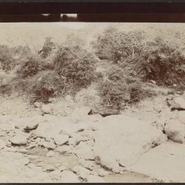 [Photograph in Mexico]