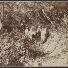 [Photograph in Mexico]