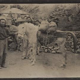 [Photograph in Mexico]