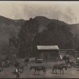 Freight mules arriving at the mine