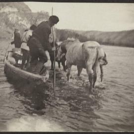 Hunting & gold escort Siberia